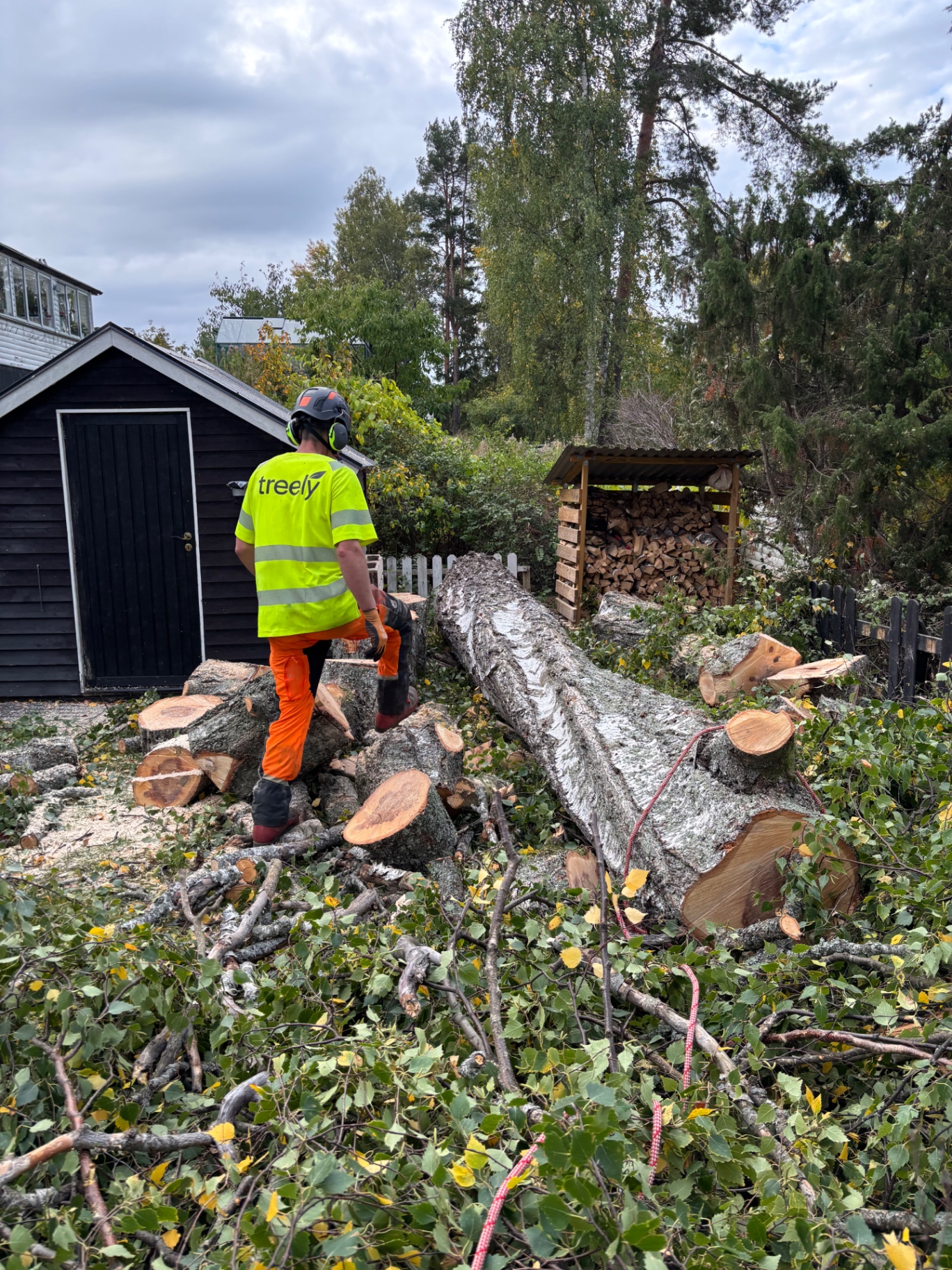 Fälld trädstam på en bostadstomt