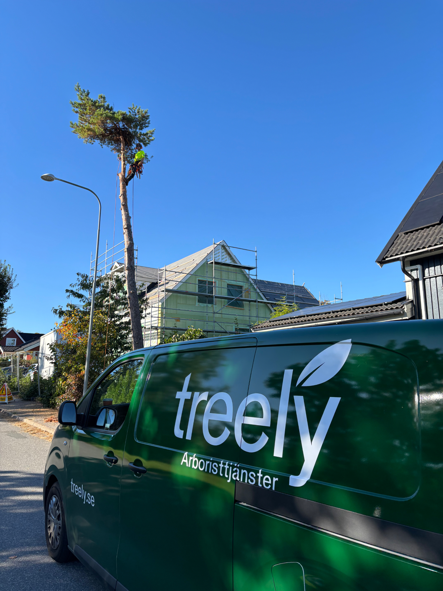 Treelys arbetsfordon vid ett träduppdrag